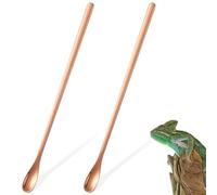 NESTINGHO 2pcs Stainless Steel Reptile Food Scoop Portable and Comfortable to Hold Small Accessory for Feeding Lizards and Other Small Animals