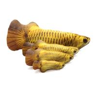 NESTINGHO Plush Fish Shape Cat Cushion for Interactive Play, Comfortable and Attractive Catnip Fish Doll Soft Animal for Cats, Realistic Looking and Fun Pet