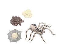 NESTINGHO Simulation Animal Growth Model for Life Cycle Display Educational Party Decorations for Boy Girl Storytelling and Nature Learning