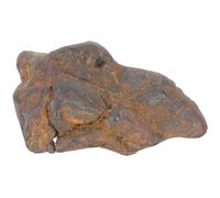 NESTINGHO Space Meteorite 2-3Cm Iron-Nickel Rock Scientific Specimen Educational Function for Classroom Display and Desktop Ornament