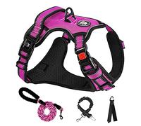 NESTROAD Rose Red Dog Vest Harness, No Pull Adjustable Harness and Lead Set for Large Dogs, Size XL of Neck 17~25" Chest 21~35", Anti Pull Escape Proof Dog Lifting with Seat Belt for Car