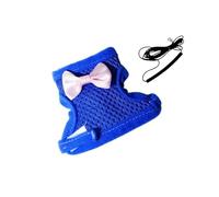 Net Bird Harness Vest and Leash for Small to Large Parrots Flight Suit Ensures Comfort and Security During Walking Bird Leash for Outdoor