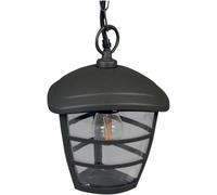 Netagon Garden Outdoor Mains Powered 230V Brussels Hanging Chain Light In Anthracite