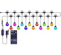 Netagon Indoor Outdoor Decorative Colour Changing Bluetooth & Remote Controlled Lights