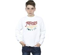 Netflix Boy's Stranger Things Friends Don´t Lie Hands Sweatshirt in White | Size: 12-13 Years Netflix White 12-13 Years
