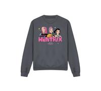 Netflix Kpop Demon Hunters Huntrix Blocky Glam Sweatshirt, Charcoal | Size: Large Netflix Charcoal L