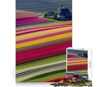 Netherlands Tulip Fields 1000 Piece Jigsaw Puzzles for Adults Jigsaw Recall Upgrade Quiet Calm Clear Cut Premium Gift (50x75cm)