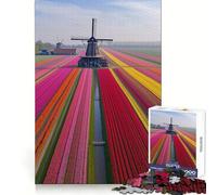 Netherlands Tulip Fields 1000 Piece Jigsaw Puzzles for Adults Strengthen Recall Relax Time Quality Edge Birthday Gift (38x26cm)