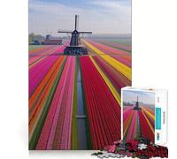 Netherlands Tulip Fields 1000 Piece Jigsaw Puzzles for Adults Strengthen Recall Relax Time Quality Edge Birthday Gift (38x26cm)