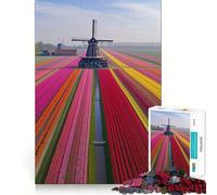 Netherlands Tulip Fields 1000 Piece Jigsaws for Teenagers Brain Workout Toy Easy Leisure Image Assembly Stylish Gift (50x75cm)
