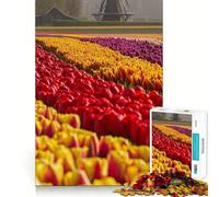Netherlands Tulip Fields 1000 Pieces Jigsaw Puzzles for Adults Brain Workout Toy Stress Free Art Assembly Festival Gift (38x52cm)
