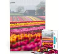 Netherlands Tulip Fields 1000 Pieces Jigsaw Puzzles for Adults Brain Workout Toy Stress Free Art Assembly Festival Gift (38x26cm)