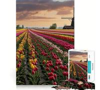 Netherlands Tulip Fields 1000 Pieces Jigsaw Puzzles for Adults Mind Skill Toy Easy Leisure Design Assembly Seasonal Gift (38x52cm)