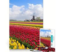 Netherlands Tulip Fields Jigsaw Puzzle for Adults 1000 Pieces Mind Play Relaxing Fun Clean Edge Art Collection Piece (50x75cm)