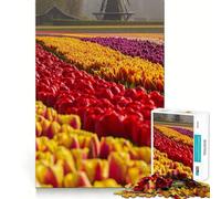 Netherlands Tulip Fields Jigsaw Puzzles 1000 Piece for Adults Improve Memory Peaceful Time Fine Edge Santa Wish Gift (38x26cm)