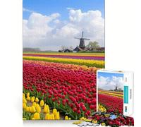 Netherlands Tulip Fields Jigsaw Puzzles 1000 Pieces for Adults Strong Logic Toy Stress Free Clear Edge Thoughtful Gift (38x52cm)