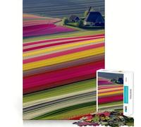 Netherlands Tulip Fields Jigsaw Puzzles for Adults1000 Piece Intellect Toy Stress Relief Precise Cut Perfect Present (38x26cm)