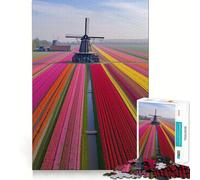 Netherlands Tulip Fields Jigsaw Puzzles for Adults1000 Piece Intellect Toy Stress Relief Precise Cut Perfect Present (38x52cm)