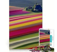 Netherlands Tulip Fields Jigsaw Puzzles for Teenagers 1000 Piece Logic Train Toy Cozy Relax Smooth Cut Festival Gift (38x52cm)