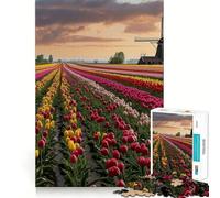 Netherlands Tulip Fields Jigsaw Puzzles for Teenagers 1000 Pieces Brain Workout Toy Home Activity Art Assembly (50x75cm)