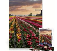 Netherlands Tulip Fields Teenager Jigsaw Puzzles 1000 Pieces Recall Boost Gentle Leisure Clean Cut Santa Wish List (38x26cm)