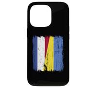 Netherlands Ukraine Half Flag Dutch Ukrainian Heritage Case for iPhone 13 Pro