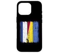 Netherlands Ukraine Half Flag Dutch Ukrainian Heritage Case for iPhone 16 Pro