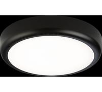 Netlighting CCT Adjustable LED Bulkhead CW Black Trim 230V IP65 9W Netlighting Black