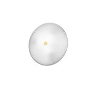 Netlighting Centro Designer Glass Simple Flush Ceiling Light Polished Gold 2x E14 Netlighting Gold