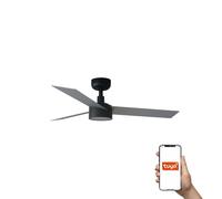 Netlighting Cruiser Small 106cm LED Smart Ceiling Fan Black Aluminium Blades Netlighting Black