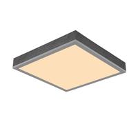 Netlighting Doro 30cm Flush Ceiling Light Silver Colored LED 3000K Netlighting Silver