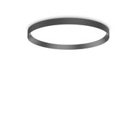 Netlighting FLY 60cm Integrated LED Semi Flush Light Black 3000K IP40 Netlighting Black