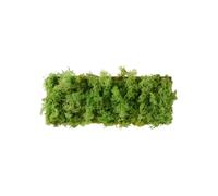 Netlighting Green Carl Wall Lamp Moss 6xLED 0.80W 3000K Netlighting Green