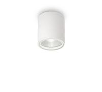 Netlighting Gun 1 Light Outdoor Surface Mounted Ceiling Downlights White Polished Chrome IP44 GU10 Netlighting White