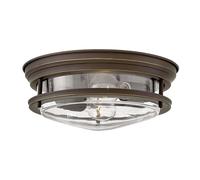 Netlighting Hinkley Hadrian 2 Light Flush Mount Oil Rubbed Bronze with Glass IP44 in Brown Netlighting Brown