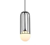 Netlighting Modern Hanging Pendant Black 1 Light with Black White Shade G9 Netlighting Black