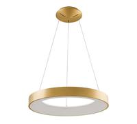 Netlighting Modern LED Hanging Pendant Brushed Gold Warm White 3000K 2750lm Netlighting Gold