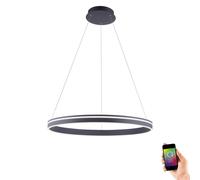 Netlighting QVito Pendant Ceiling Light Anthracite 1x 58W LED 27005000K Dimmable in Black Netlighting Black