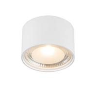 Netlighting Serena Surface Mounted Downlight White Clear Glass Shade LED 3000K Netlighting White