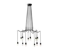 Netlighting Spider 12 Light Hanging Wire Pendant Anthracite G9 in Black Netlighting Black
