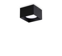 Netlighting Spike Square Surface Mounted Downlight Black Netlighting Black