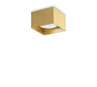 Netlighting Spike Square Surface Mounted Downlight Brass in Gold Netlighting Gold