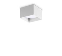 Netlighting Spike Square Surface Mounted Downlight White Netlighting White