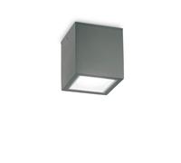 Netlighting Techo Outdoor Large Surface Mounted Downlight Anthracite IP54 GU10 in Black Netlighting Black