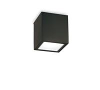 Netlighting Techo Outdoor Large Surface Mounted Downlight Black IP54 GU10 Netlighting Black