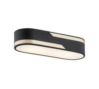 Netlighting Toni Surface Mounted Downlight Milky Black Structure Gold Strip 50cm Netlighting Black