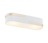 Netlighting Toni Surface Mounted Downlight Milky White Structure Gold Strip 50cm Netlighting White