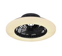 Ceiling fan Travo Black with LED light and remote