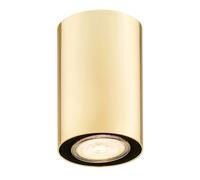 Netlighting Tyber Plus Surface Mounted Downlight Brass Steel in Gold Netlighting Gold