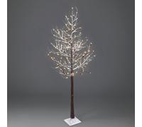 Netta 6Ft Birch Twig Tree With 160 Warm White Led Lights - Brown